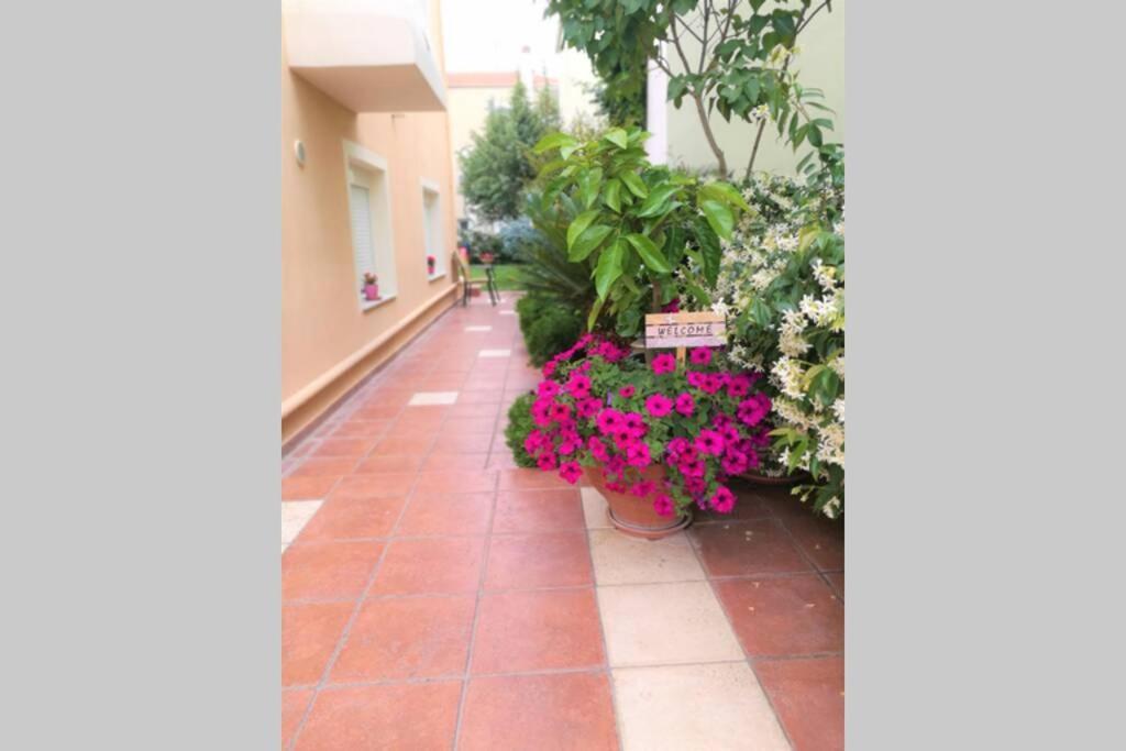 Relaxing Holidays In Nea Irakleitsa Nea Iraklitsa Екстериор снимка